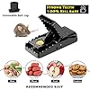 Rat Trap Big Size Mouse Trap – 1 Pc